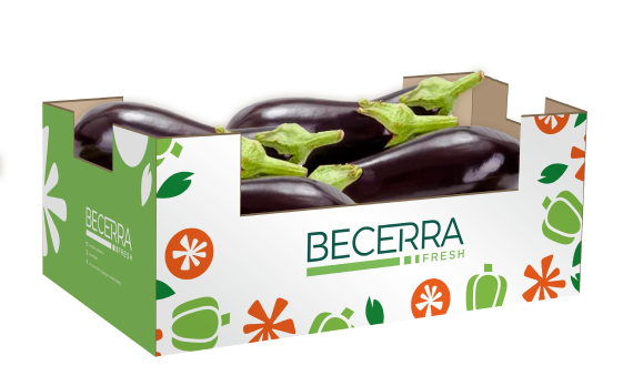 berenjena