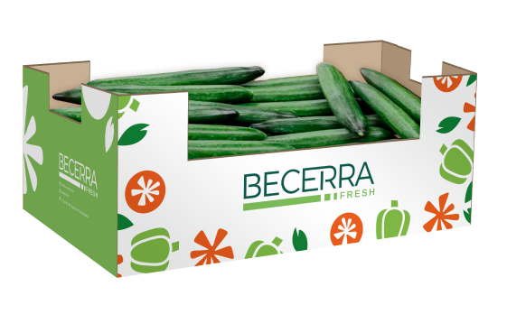 Pepino