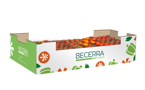 Tomate Cherry Rama