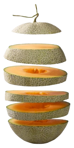 melon