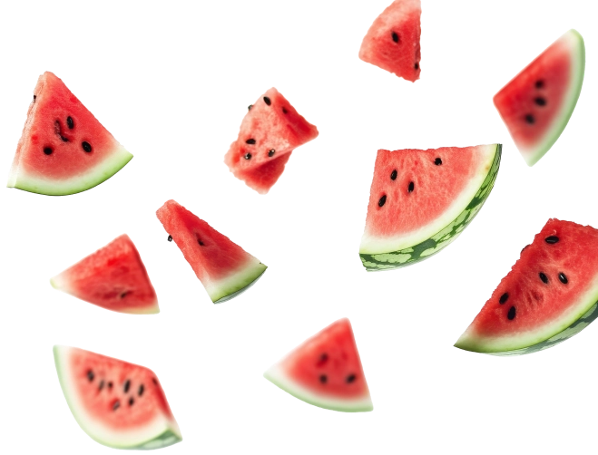 sandia