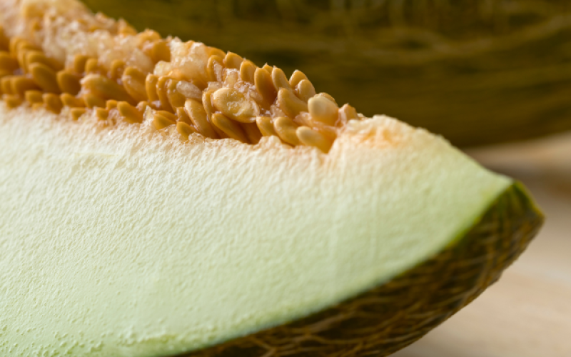 melon1