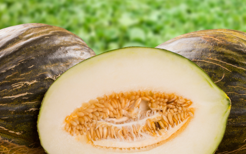 melon3