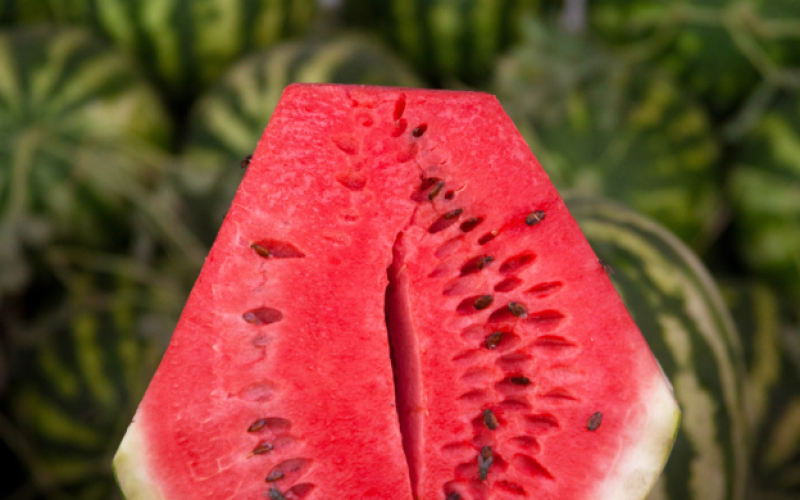 sandia2