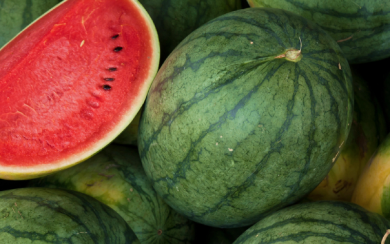 sandia3